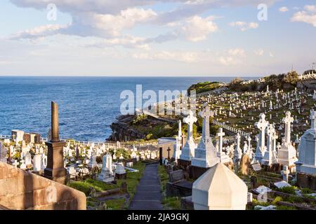 Von Bondi nach Coogee, Küstenwanderung, Waverley Cemetery mit Blick auf den Ozean Stockfoto