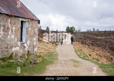 Ryvoan Bothy, Cairngorms National Park, Schottland Stockfoto