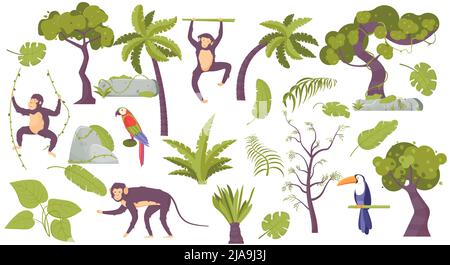 Tropische Landschaft flache Reihe von Flora und Fauna Vertreter einschließlich Palmenaffen und Papagei isoliert Vektor-Illustration Stock Vektor