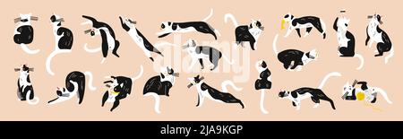 Katzen-Zeichensatz mit isolierten Bildern von ähnlichen schwarz-weißen Kätzchen Haustier in verschiedenen Posen Vektor-Illustration Stock Vektor