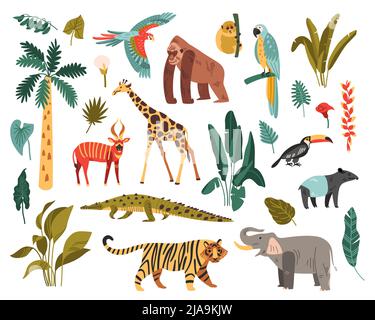 Dschungel-Set von isolierten Ikonen mit exotischen Vögeln und wilden Tieren mit tropischen Pflanzen und Bäumen Vektor-Illustration Stock Vektor