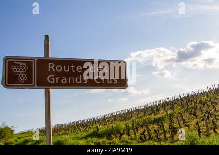 Nuits Saint Georges, Frankreich, 15. April 2022. Schild mit Hinweis auf die Route des Grands Crus vor den Weinbergen. Die Route des Grands Crus ist eine Straße, die Stockfoto