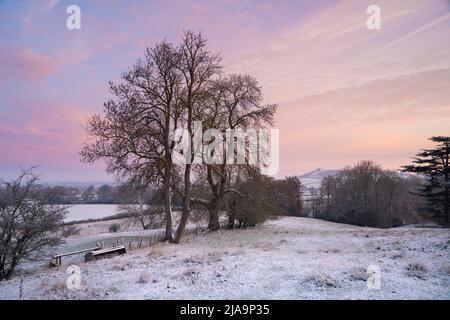 Cotswold überwintert im Morgengrauen, North Cotswolds, England. Stockfoto