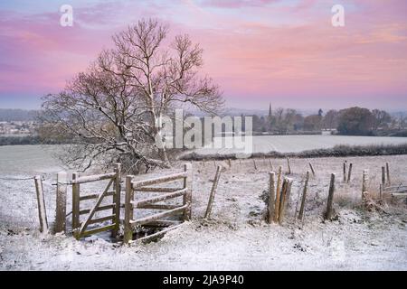 Cotswold überwintert im Morgengrauen, North Cotswolds, England. Stockfoto