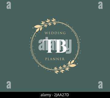 TB Initials Letter Hochzeitslogos-Kollektion, handgezeichnete, moderne, minimalistische und florale Vorlagen für Einladungskarten, Save the Date, elegant Stock Vektor