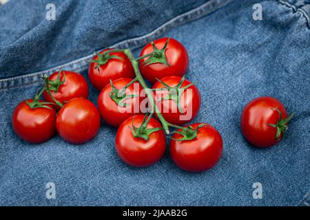 Nahaufnahme, frische rote Tomaten auf blauem Denim. Stockfoto