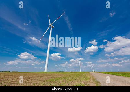 Zwischen vielen großen Windkraftanlagen, die auf landwirtschaftlichen Feldern stehen und saubere erneuerbare elektrische Energie erzeugen, ist eine staubige Straße unterwegs. Stockfoto