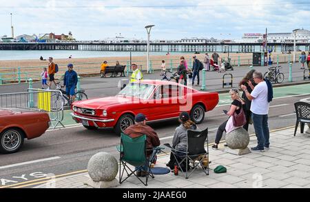 Brighton UK 29. May 2022 - Teilnehmer nach dem Abschluss des London to Brighton Classic Car Run, der entlang der Küste von Brighton endet. Die Autos starten vom berühmten Brooklands Museum und Produktionsfahrzeuge über 40 Jahre alt sind teilnahmeberechtigt : Credit Simon Dack / Alamy Live News Stockfoto