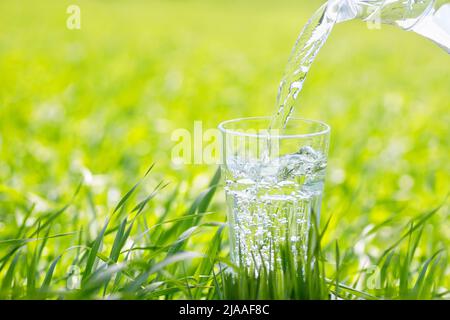 Wasser aus dem Krug, das auf grünem Hintergrund in Glas gießt Stockfoto
