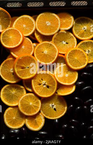 Orangenscheiben und indische tropische Früchte, genannt Jamun oder Java Plum Beeren auf schwarzem Hintergrund. Draufsicht auf Zitrusfrüchte, hinten beleuchtet. Stockfoto