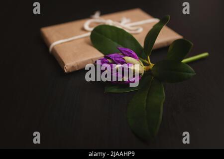 Violette Azaleen-Blume mit einem Geschenk in handgefertigten Verpackungen auf einem schwarzen Holzhintergrund. Stockfoto