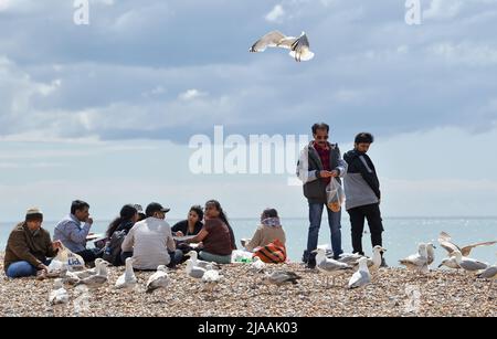 Brighton UK 29. May 2022 - Besucher und Möwen genießen den Sonnenschein an der Küste und am Strand von Brighton, da für Großbritannien in den nächsten Tagen kühleres Wetter prognostiziert wird : Credit Simon Dack / Alamy Live News Stockfoto