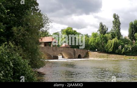 Leipziger Innenstadt und Westvorstadt, Palmengartenwehr und Clara-Zetkin-Park. Stockfoto