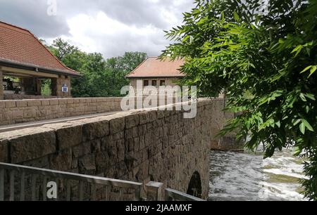 Leipziger Innenstadt und Westvorstadt, Palmengartenwehr und Clara-Zetkin-Park. Stockfoto