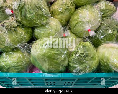 Frisch verpackter grüner Salat in einem versandfertigen Behälter Stockfoto