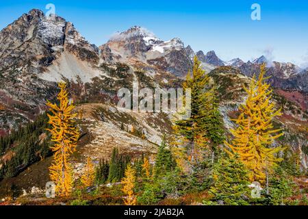 WA21610-00...WASHINGTON - Corteo und Black Peaks im Herbst vom Maple Pass Trail im North Cascades National Park aus gesehen. Stockfoto