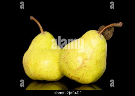 Zwei saftige, leuchtend gelbe Birnen, Nahaufnahme, isoliert auf schwarzem Hintergrund. Stockfoto