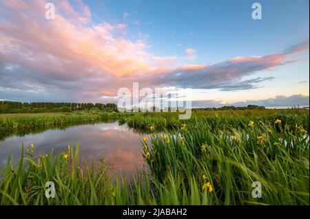 Farbenfrohe Sonnenuntergangswolken über einem Feuchtgebiet in der Nähe von Gouda, Niederlande Stockfoto