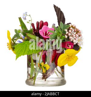 Strauß von wilden Blumen auf weißem Hintergrund. Bachtherapie. Stockfoto