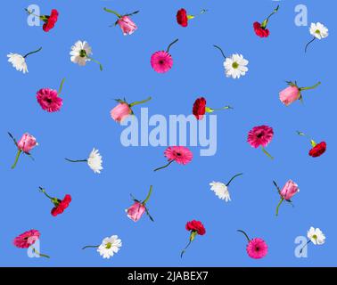 Kreatives Blumenmuster mit bunten Blumen auf blauem Hintergrund. Minimales Federkonzept. Idee zum Valentinstag oder 8. März. Stockfoto