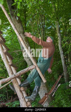 Jagdunfall. Ein wenig Unachtsamkeit und ein älterer Jäger schlüpft auf die Leiter seiner Jagdkanzel und fällt rückwärts. Stockfoto