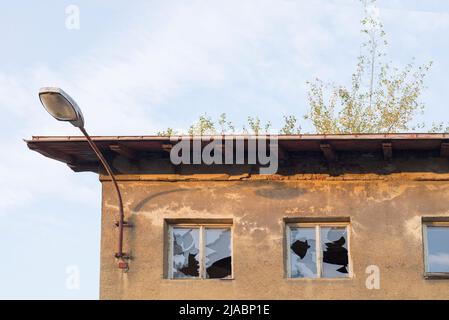 Abonded Haus mit kaputten Fenstern und mit wachsenden Bäumen auf dem Dach Stockfoto