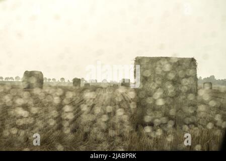 Strohballen an einem regnerischen, bewölkten Tag. Blick durch ein Autofenster mit Regentropfen darauf. Ernte bei nassem und perlem Wetter. Das Wetter ist nicht erlaubt. Stockfoto