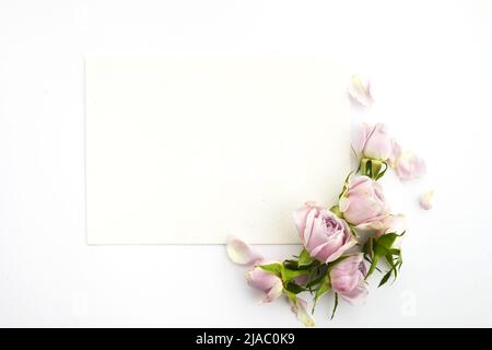 Rahmen aus Rosen und Blütenblättern auf weißem Hintergrund. Flach liegend. Stockfoto