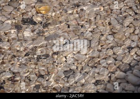 Unter Wasser Kieselstruktur/Hintergrund. Kieselsteine Unterwasserstruktur. Stockfoto