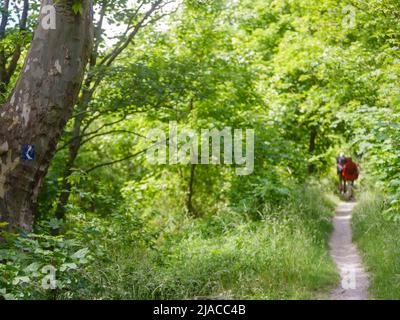 Braubach, 2022, Mai 29.: Auf Rheinsteig wandern Menschen in Deutschland, Rheinland-Pfalz, Europa. Stockfoto