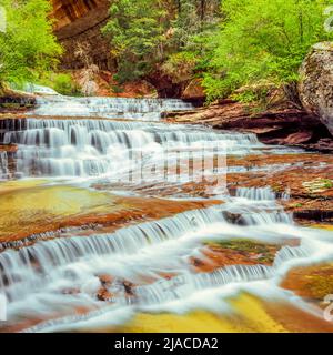 Erzengel-Kaskaden auf linke Gabel North Creek entlang Route zur Subway im Zion Nationalpark, utah Stockfoto