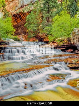 Erzengel-Kaskaden auf linke Gabel North Creek entlang Route zur Subway im Zion Nationalpark, utah Stockfoto