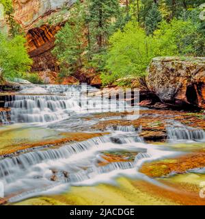 Erzengel-Kaskaden auf linke Gabel North Creek entlang Route zur Subway im Zion Nationalpark, utah Stockfoto