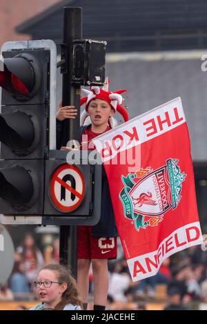 Baltic Triangle, Liverpool, Großbritannien. 29.. Mai 2022. Die Open-Top-Busparade zur Feier der Trophäengewinne des FC Liverpool fand in der Stadt statt, bei der der Manager und die Spieler des Teams den Applaus der Fans auf den Straßen entgegennahmen. Junger Fan mit großer Flagge Stockfoto