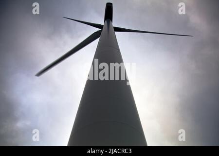 Windpark für erneuerbare Energien - Park Wind Turbine's in Royd Moor, Yorkshire, Großbritannien Stockfoto