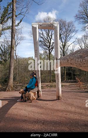 Forest of Dean Skulpturenpark Holzausstellung mit Besuchern und einem Hund. Von Pomona Zipser hinzugefügt in 2016 Gloucestershire England GB Stockfoto