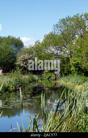 Unschiffbarer Abschnitt des Montgomery-Kanals. Stockfoto