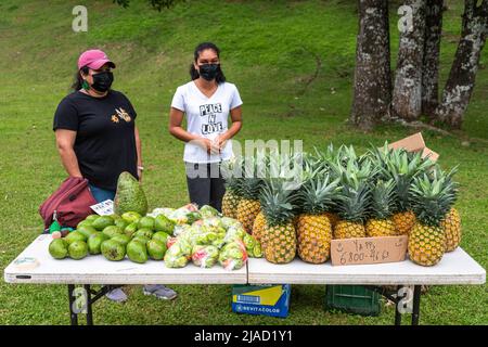 2 Frauen verkaufen Früchte, darunter Ananas und Avocados, auf einem lokalen Markt Stockfoto