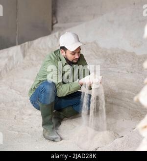 Ein Landwirt überprüft die Qualität des Maismehls Stockfoto