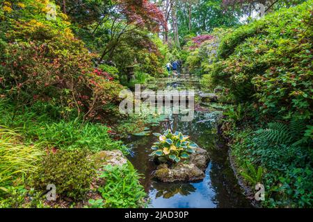 Japanischer Garten, Compton Acres, Poole, Dorset, England Stockfoto