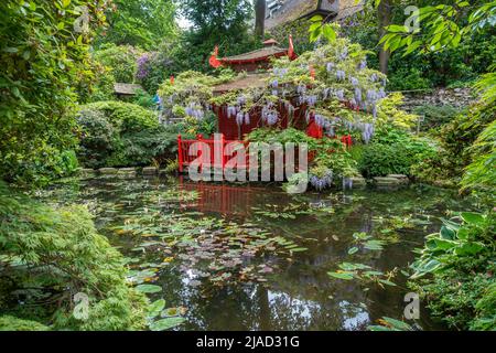 Japanischer Garten, Compton Acres, Poole, Dorset, England Stockfoto