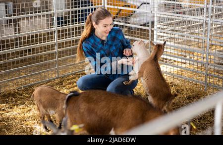 Bäuerin spielt mit kleinen Ziegenlingen Stockfoto