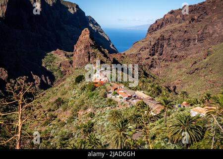 Luftaufnahme von Masca Dorf, Macizo de Teno Berge, Teneriffa, Kanarische Inseln, Spanien Stockfoto