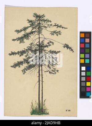 Ohne Titel (Laubbaum). Karl Wiener (1901-1949), Künstler Stockfoto