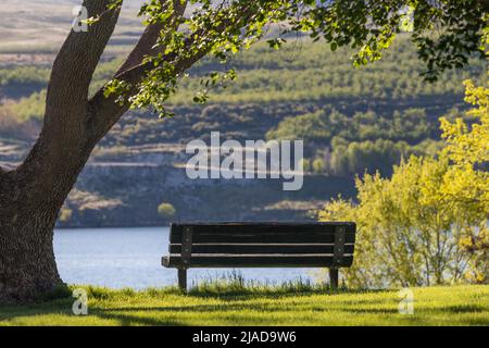 Park Bench im Sommersonnenlicht mit Blick auf den Columbia River im Bridgeport State Park Stockfoto