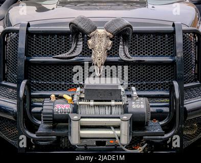 ATLANTA, GEORGIA - 5. Dezember 2021: Koffein und Octane ist eine national anerkannte Auto-Show, die monatlich stattfindet und Hunderte von klassischen und Muskelkater zeigt Stockfoto
