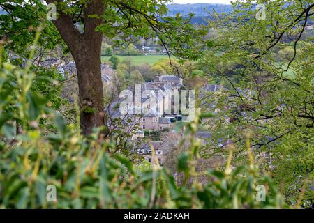 Landschaftlich schöner Blick durch die Bäume der Stadt Stirling, Schottland Stockfoto