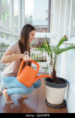 Junge Frau, die zu Hause Baumpalme aus der Dose auf dem Balkon wässert Stockfoto