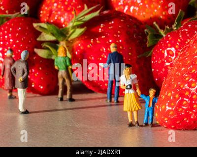 Deutschland. 28.. Mai 2022. In dieser Abbildung sind kleine Figuren abgebildet, die auf Erdbeeren blicken. Kredit: SOPA Images Limited/Alamy Live Nachrichten Stockfoto