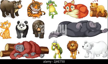 Wilde Tiere auf weißem Hintergrund dargestellt Stock Vektor